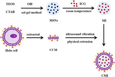 Efficient Photoacoustic Imaging With Biomimetic Mesoporous Silica-Based Nanoparticles